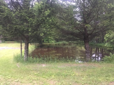 2019-07-16-VA-Tomah-WI-lead-therapy-11.JPG