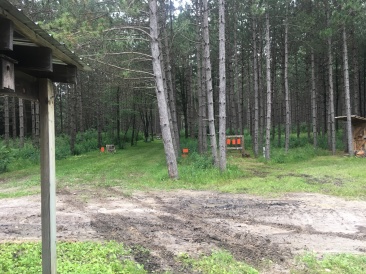 2019-07-16-VA-Tomah-WI-lead-therapy-3.JPG