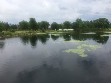 2019-07-18-VA-Tomah-WI-VAMC-pond-1.JPG