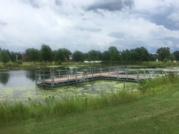 2019-07-18-VA-Tomah-WI-VAMC-pond-2.JPG