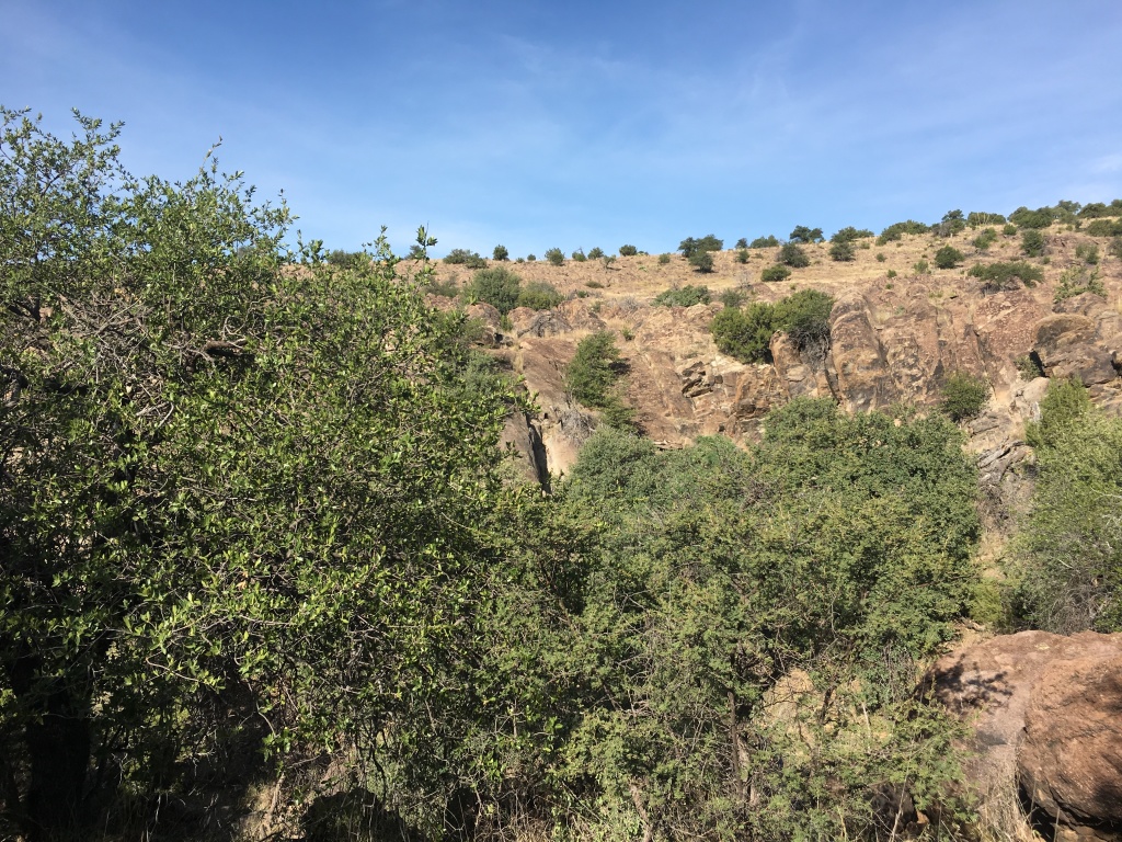 2019-08-05-Davis-Mountains-Fitness-Camp-05.JPG