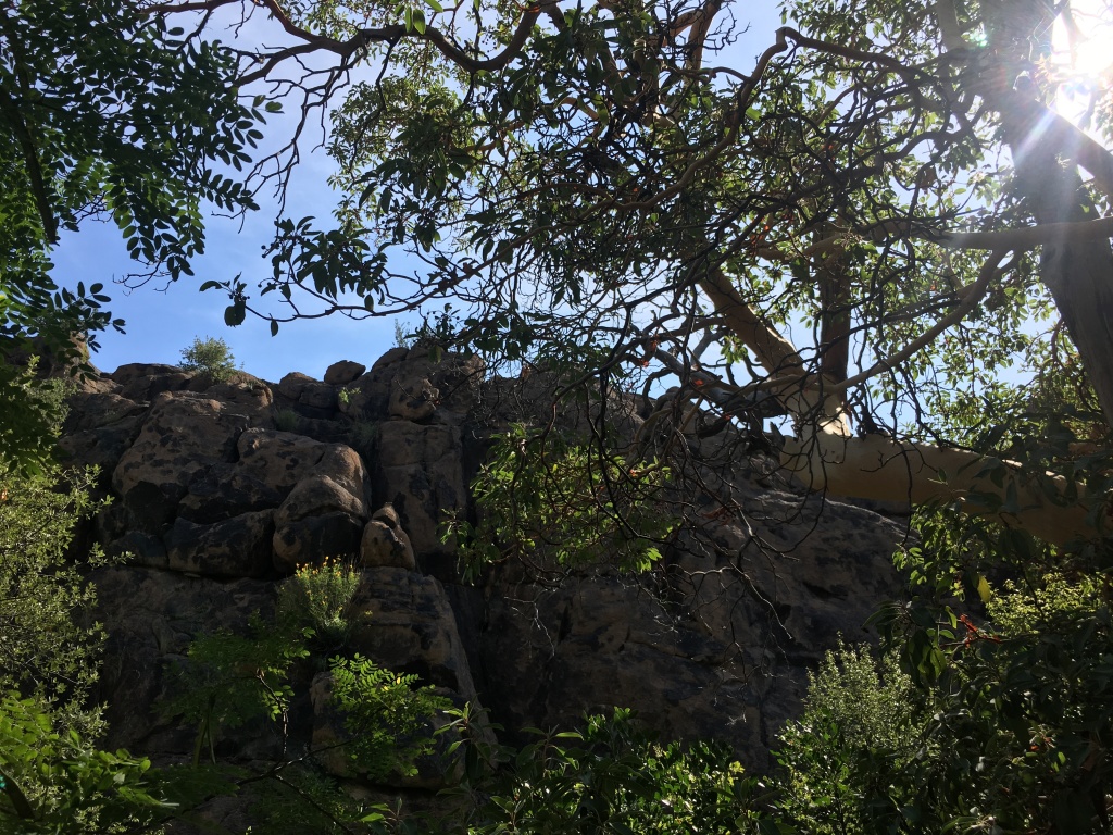 2019/08(August)/Davis-Mountains-Fitness-Camp/1024x768_2019-08-05-Davis-Mountains-Fitness-Camp-11.JPG