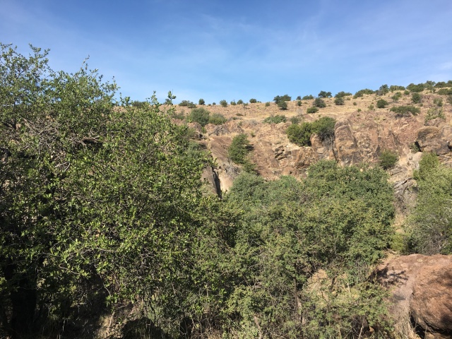 2019-08-05-Davis-Mountains-Fitness-Camp-05.JPG