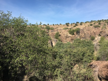 2019-08-05-Davis-Mountains-Fitness-Camp-05.JPG