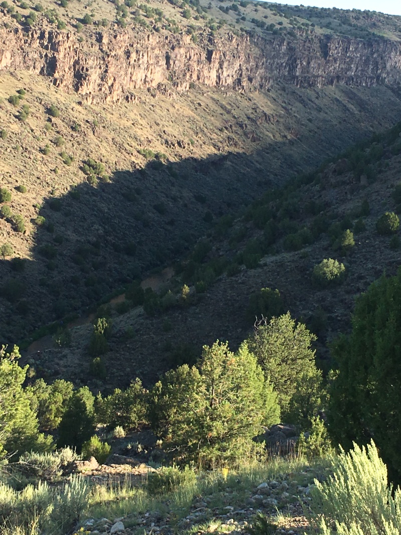 2019/08(August)/Taos-NM-Vortex-Music-Festival/Day-02-Vortex-Music-Fest/800x600_2019-08-16-Taos-NM-Vortex-Music-Festival-16-Hot-Air-Balloons.JPG
