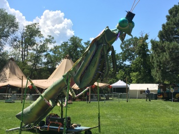 2019-08-16-Taos-NM-Vortex-Music-Festival-33-Mantis.JPG