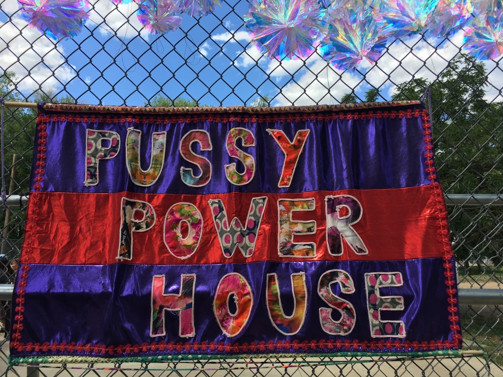 2019-08-17-Taos-NM-Vortex-Music-Festival-25-Pussy-Power-House.JPG