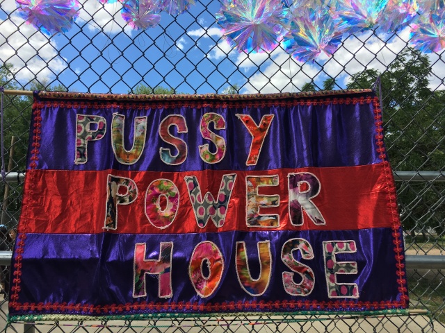 2019/08(August)/Taos-NM-Vortex-Music-Festival/Day-03-Vortex-Music-Fest/640x480_2019-08-17-Taos-NM-Vortex-Music-Festival-25-Pussy-Power-House.JPG