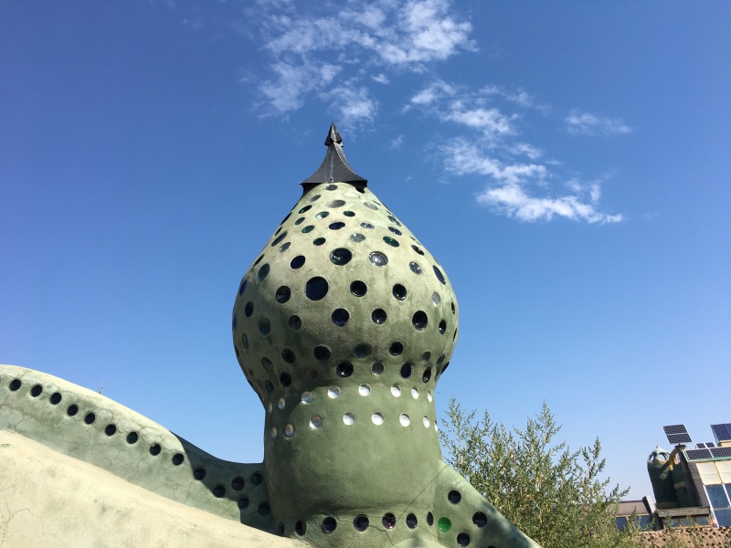 2019/08(August)/Taos-NM-Vortex-Music-Festival/Day-03-Vortex-Music-Fest/800x600_2019-08-17-Taos-NM-Vortex-Music-Festival-08.JPG