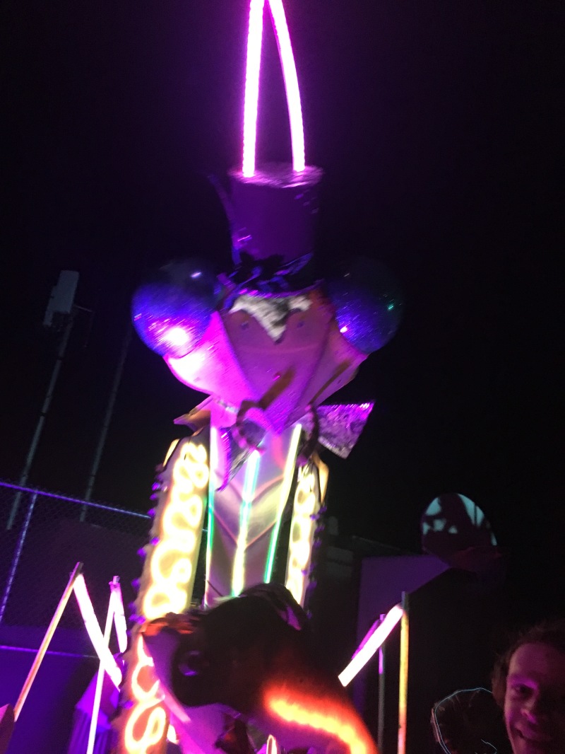 2019/08(August)/Taos-NM-Vortex-Music-Festival/Day-03-Vortex-Music-Fest/800x600_2019-08-17-Taos-NM-Vortex-Music-Festival-84-Mantis.JPG