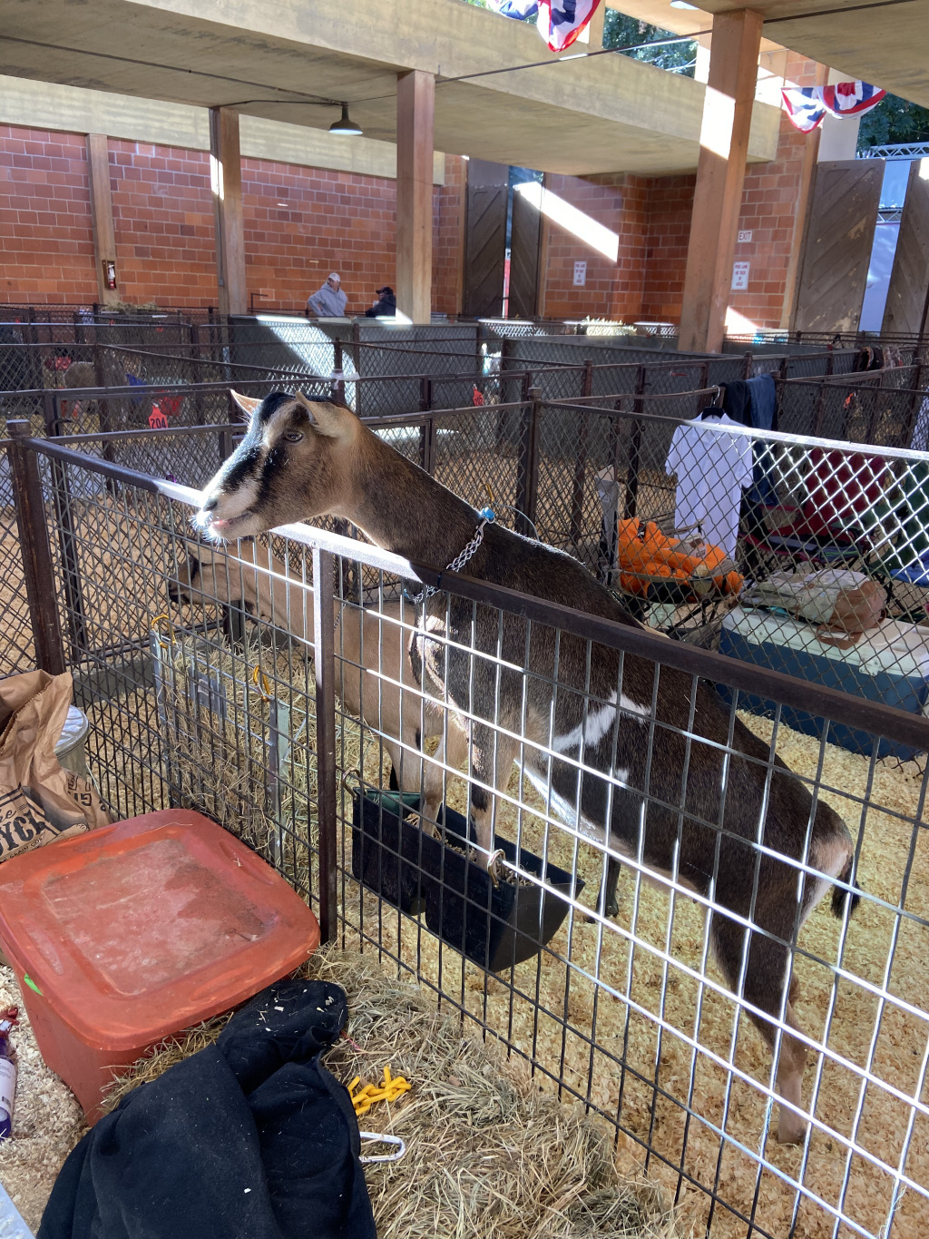 2019/10(October)/UTD-Parents-weekend/OU_Dallas_Fair/1024x768_2019-10-12-Texas-State-Fair-04.JPG
