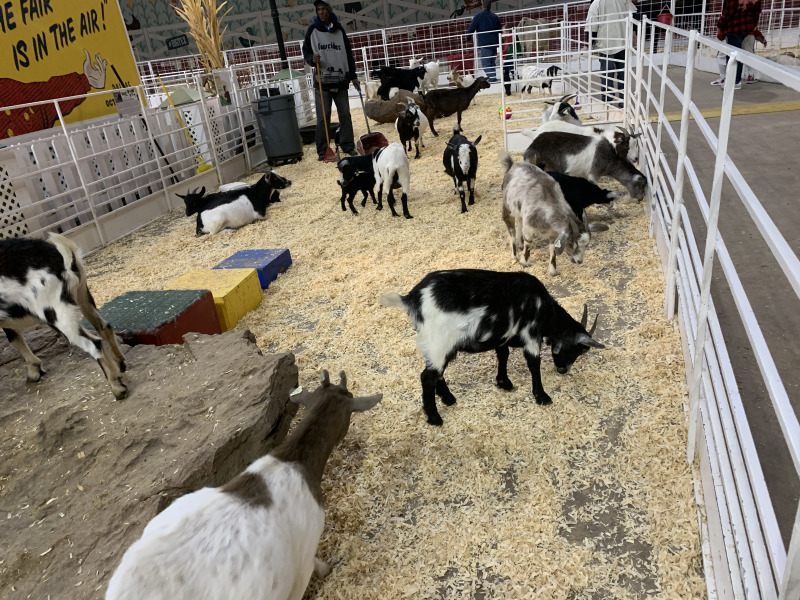 2019/10(October)/UTD-Parents-weekend/OU_Dallas_Fair/800x600_2019-10-12-Texas-State-Fair-17.JPG
