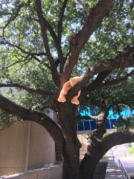 2019-10-05-UTD-Parents-Weekend-08.JPG