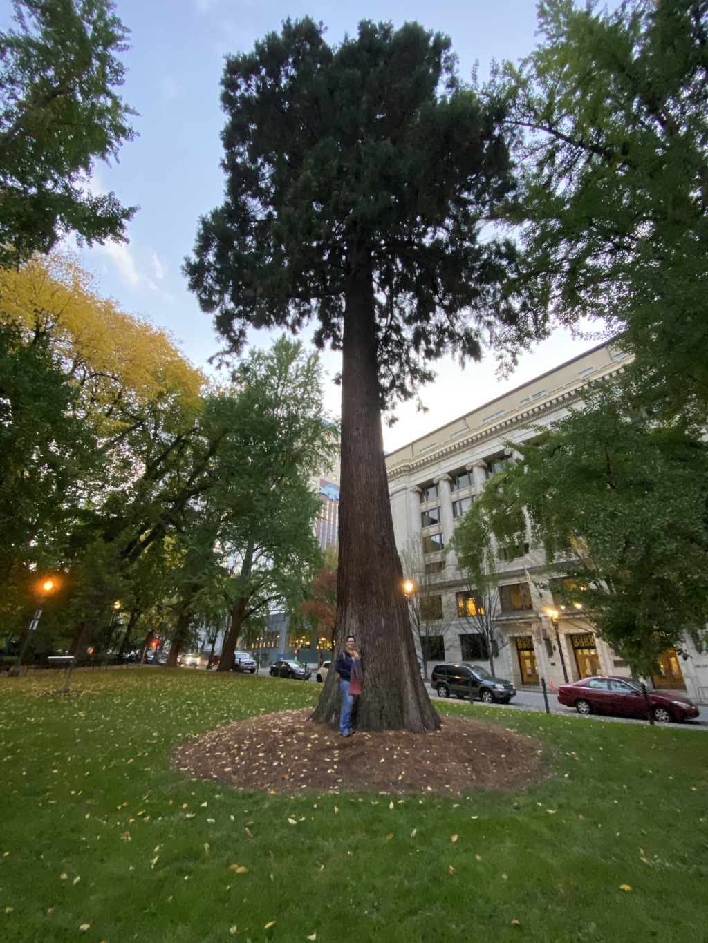 2019/10(October)/Vistra-Travel/Portland/1024x768_2019-10-08-Vistra-Portland-3-Kris.JPG
