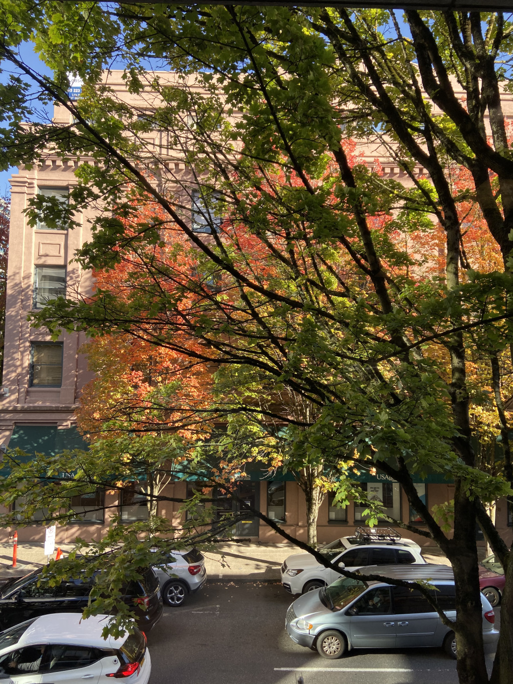 2019/10(October)/Vistra-Travel/Portland/1024x768_2019-10-10-Vistra-Portland-1.JPG