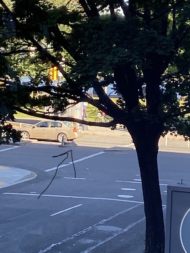 2019/10(October)/Vistra-Travel/Portland/640x480_2019-10-10-Vistra-Portland-5.JPG