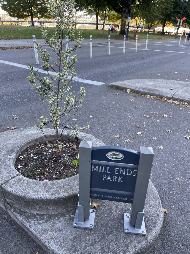 2019/10(October)/Vistra-Travel/Portland/640x480_2019-10-10-Vistra-Portland-8.JPG
