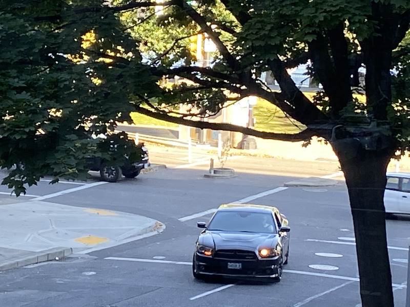 2019/10(October)/Vistra-Travel/Portland/800x600_2019-10-10-Vistra-Portland-6.JPG