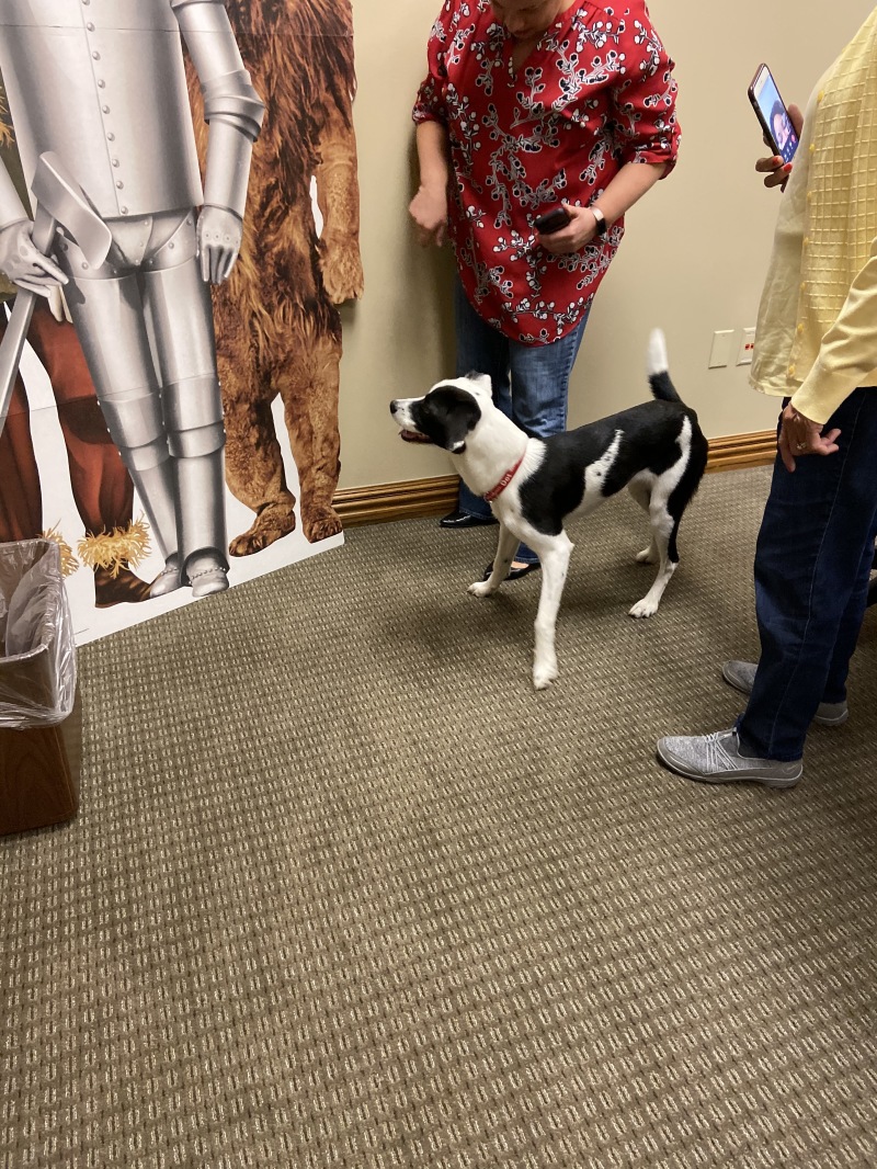2019-11-22-Vistra-Amandas-dog-DOT-1.JPG