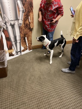 2019-11-22-Vistra-Amandas-dog-DOT-1.JPG