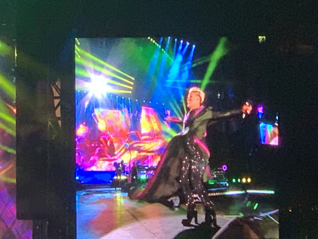 2019-11-02-Pink-Concert-09.JPG