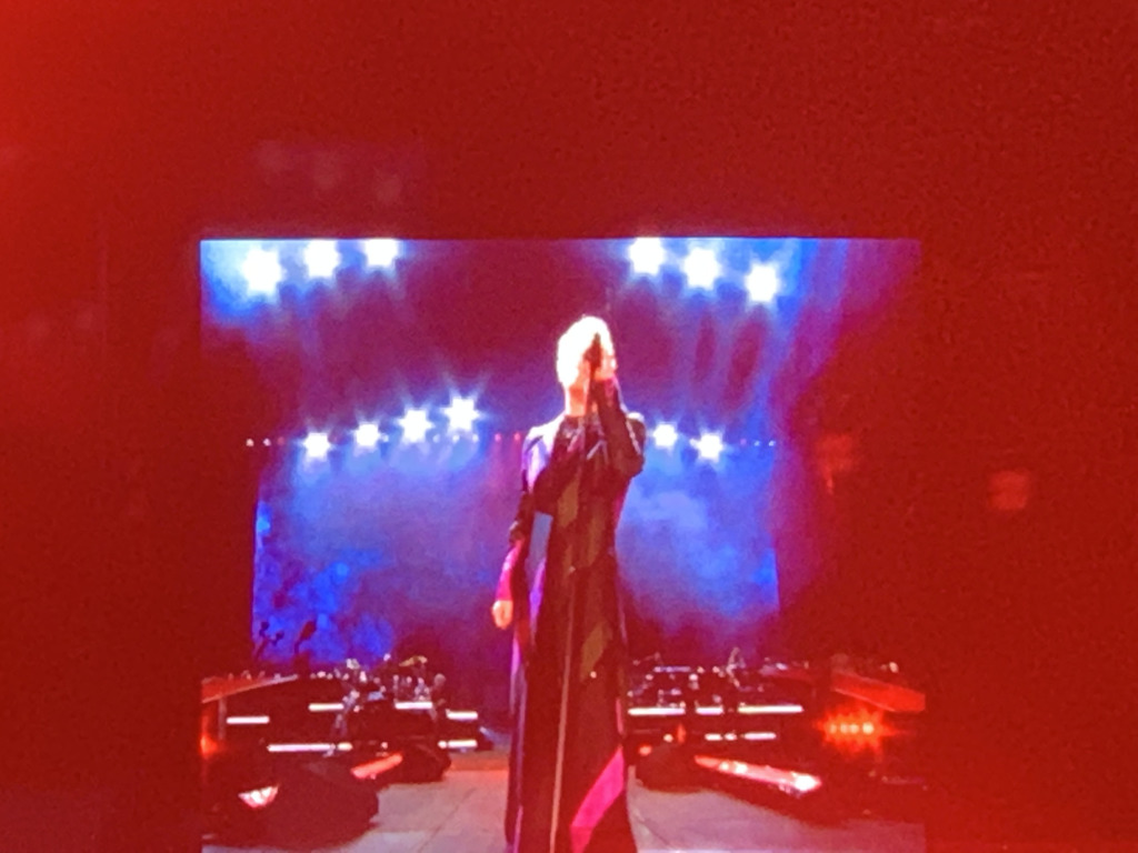 2019-11-02-Pink-Concert-11.JPG