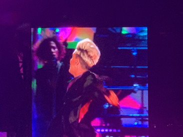 2019-11-02-Pink-Concert-08.JPG