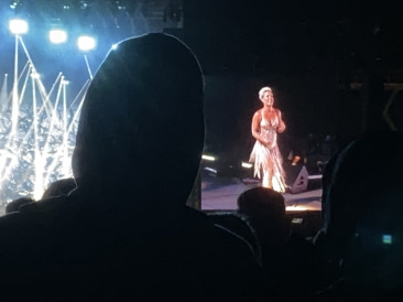 2019-11-02-Pink-Concert-13.JPG