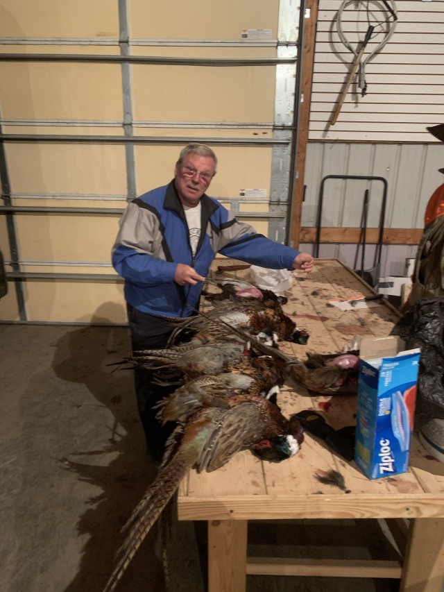 2019/11(November)/SD-Pheasant-Hunting/640x480_2019-11-13-Pheasant-Hunting-07-Jim-cleaning-birds.JPG