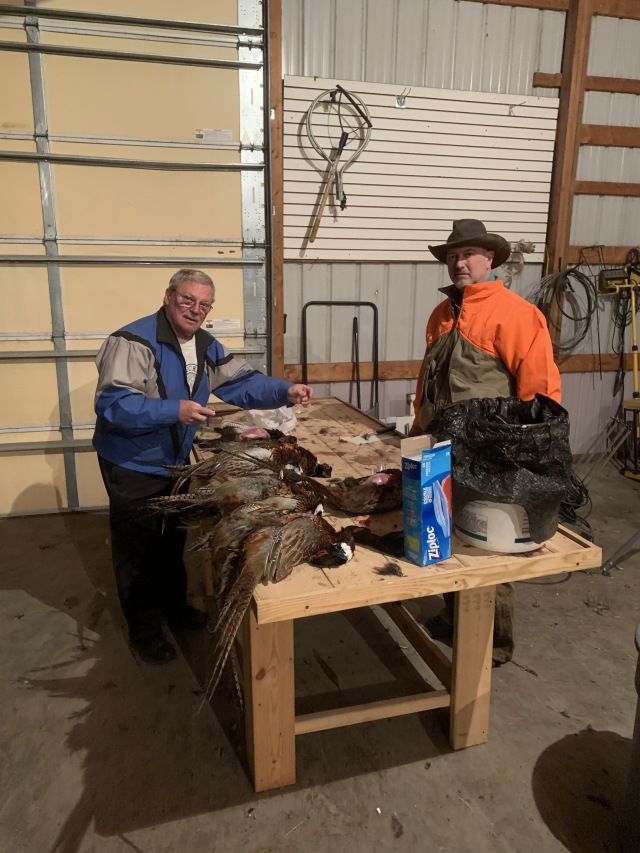 2019/11(November)/SD-Pheasant-Hunting/640x480_2019-11-13-Pheasant-Hunting-08-Jim-Mike-cleaning-birds.JPG