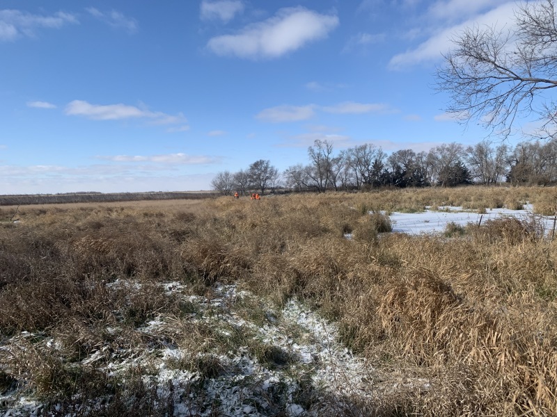 2019-11-11-Pheasant-Hunting-01-Scott-Farm.JPG