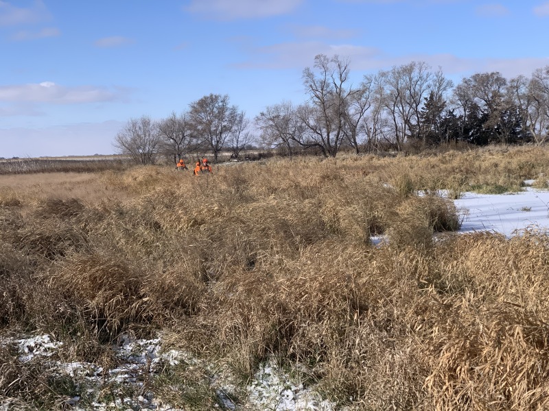 2019-11-11-Pheasant-Hunting-02-Scott-Farm-Tim-Jake-Dan.JPG
