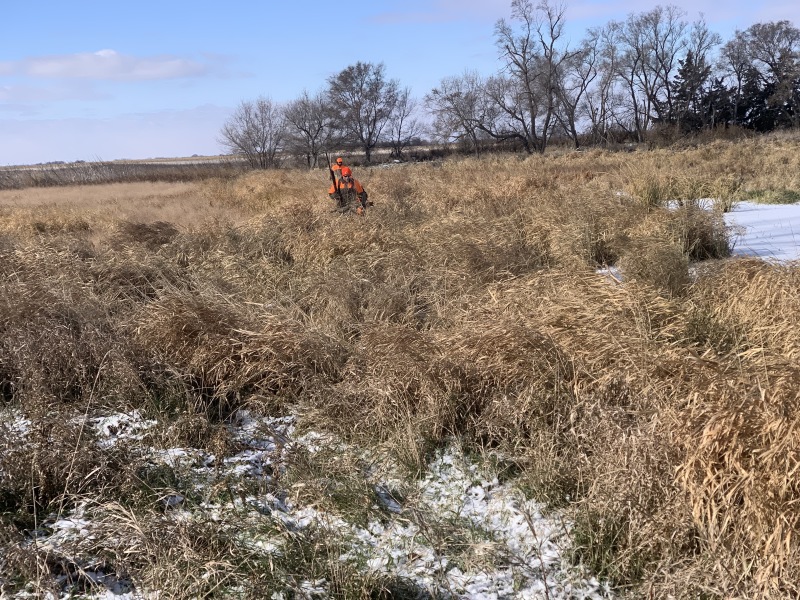 2019/11(November)/SD-Pheasant-Hunting/800x600_2019-11-11-Pheasant-Hunting-03-Scott-Farm-Tim-Dan.JPG