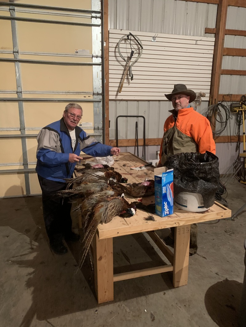 2019/11(November)/SD-Pheasant-Hunting/800x600_2019-11-13-Pheasant-Hunting-08-Jim-Mike-cleaning-birds.JPG