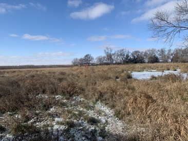 2019-11-11-Pheasant-Hunting-01-Scott-Farm.JPG