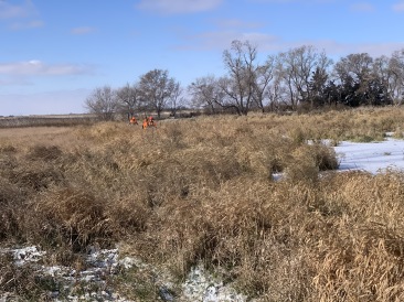 2019-11-11-Pheasant-Hunting-02-Scott-Farm-Tim-Jake-Dan.JPG
