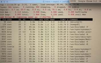 2019-12-01-Synology-replacement-issues-with-DS411J-load-average-of-80.JPG
