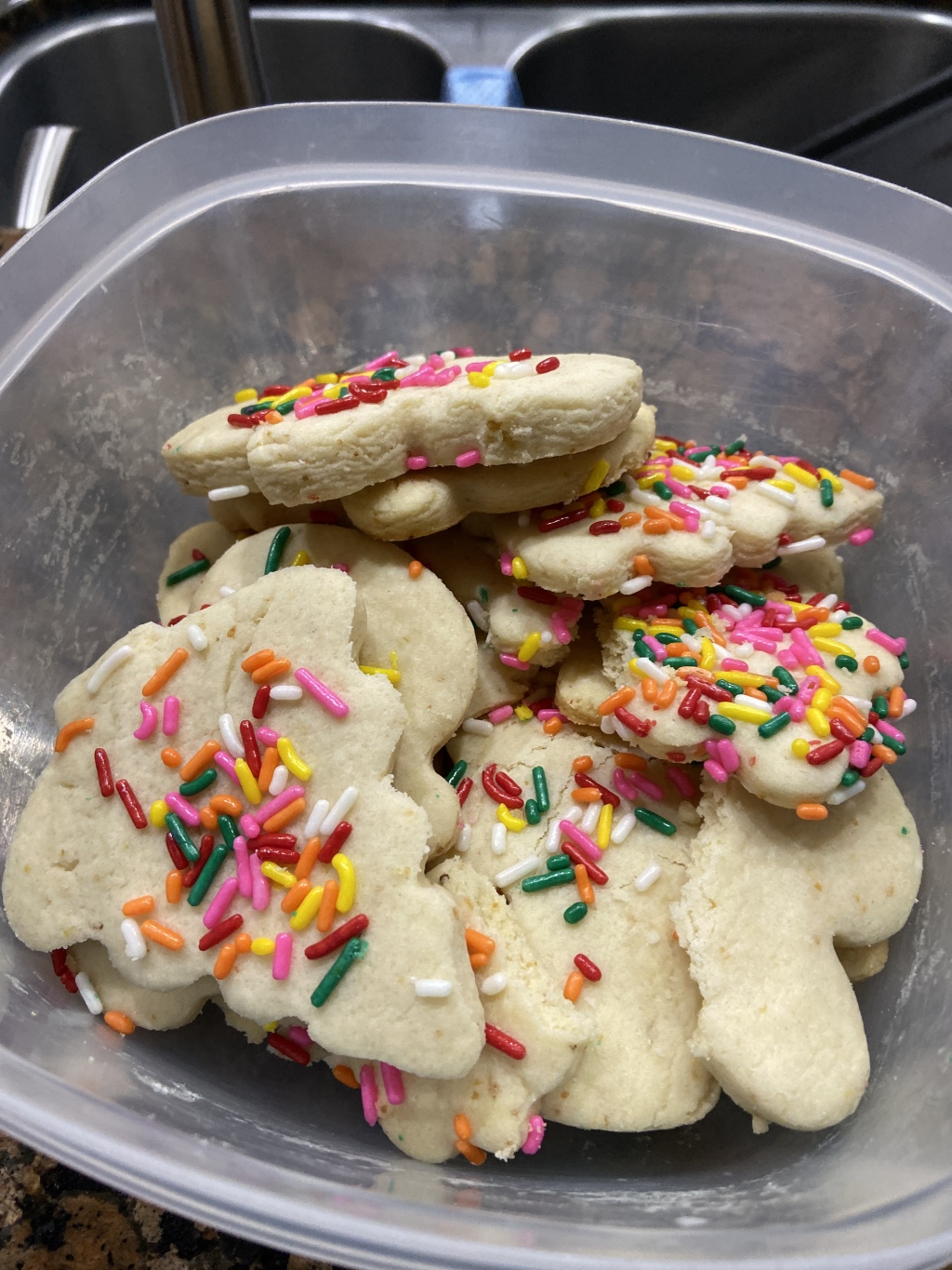 2019-11-26-Thanksgiving-5-Chance-brought-cookies-home.JPG