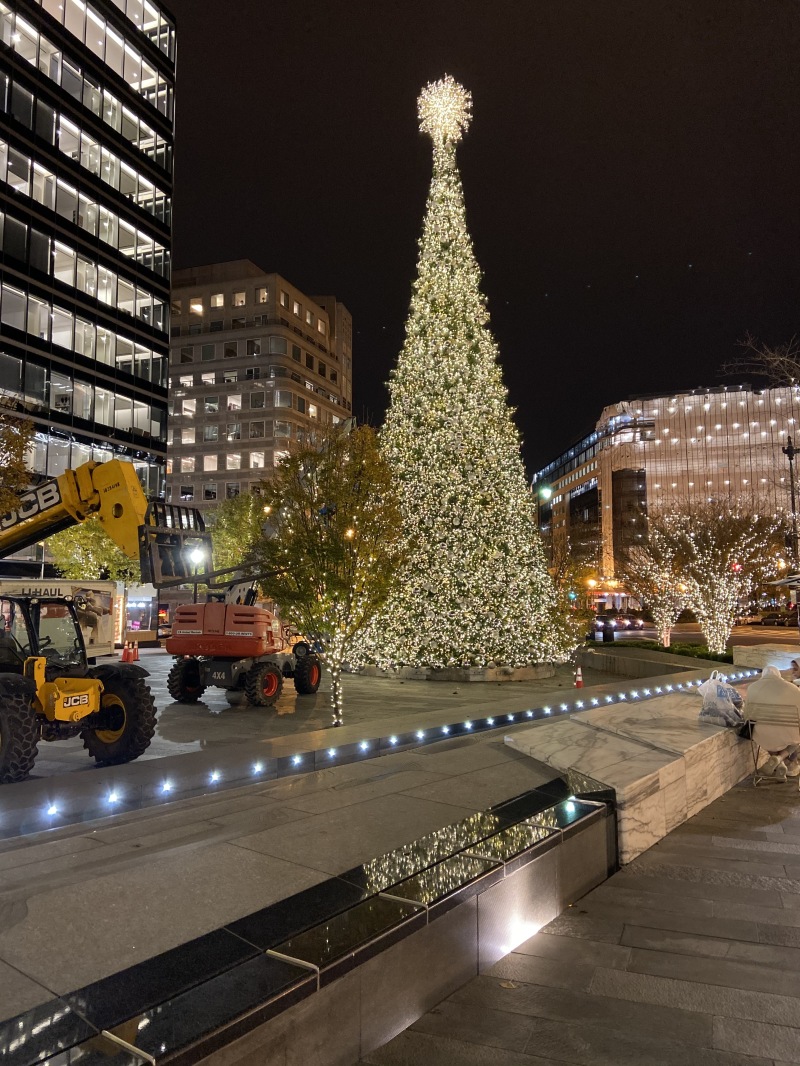 2019/11(November)/Vistra-Travel/2019-11-19-WashingtonDC-tree-1.JPG