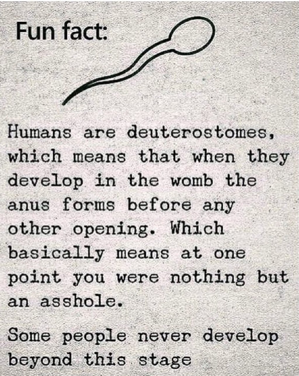 2019/Memes/1024x768_Humans-deuterostomes.JPG