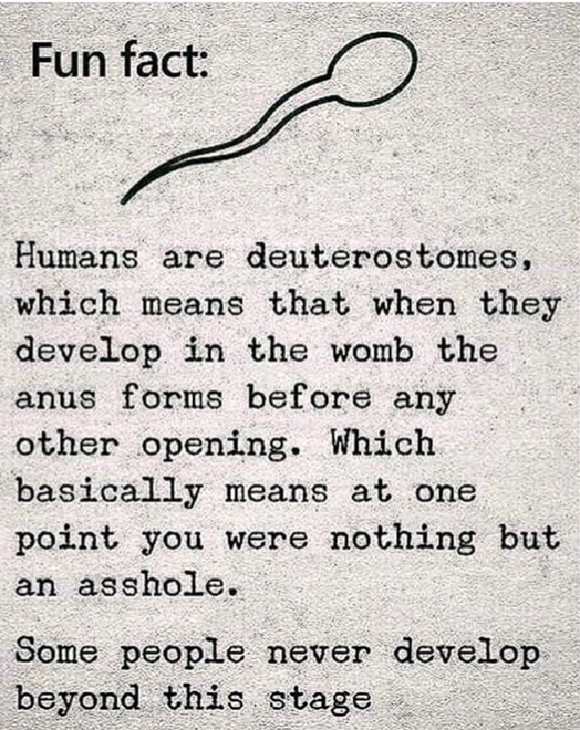 2019/Memes/640x480_Humans-deuterostomes.JPG
