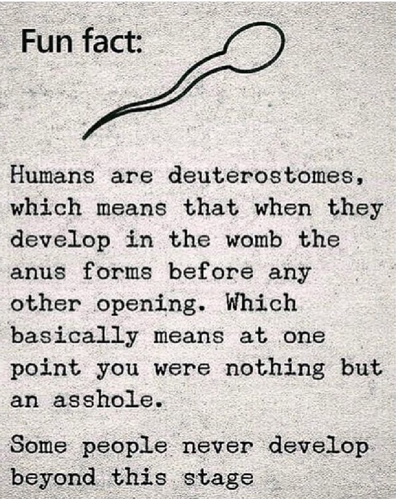 2019/Memes/800x600_Humans-deuterostomes.JPG