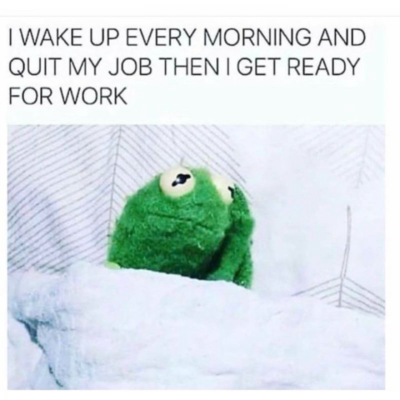 2019/Memes/800x600_Job-Wake-up-every-morning-and-quit.JPG