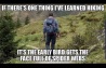 Hiking-spider-webs.JPG