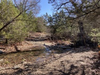 2020/01(January)/Crew-8787-Lost-Maples-Camping/2020-01-18-Crew-8787-Lost-Maples-Camping-01.JPG