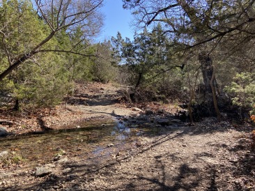 2020-01-18-Crew-8787-Lost-Maples-Camping-01.JPG