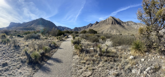 2020-02-15-Guadalupe-Peak-Texas-14-trail.JPG