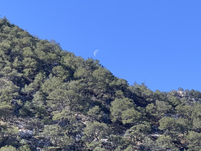2020-02-16-Guadalupe-Peak-Texas-25-moon.JPG