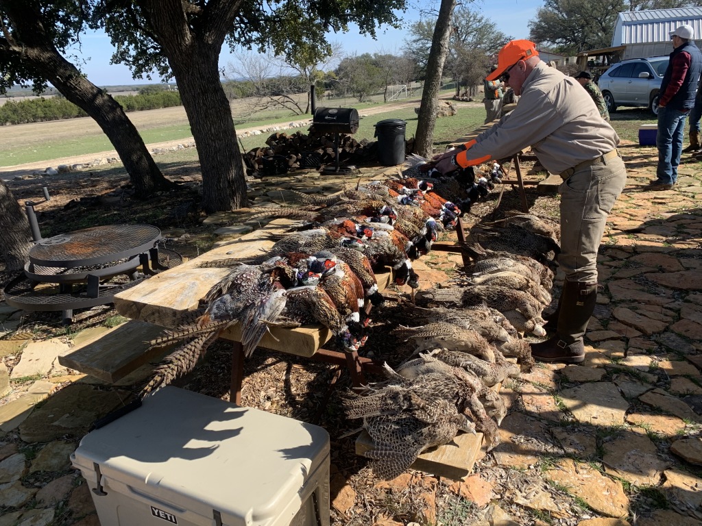 2020/02(February)/Josh-Work-Pheasant-Shoot/1024x768_2020-02-21-Pheasant-Tower-Shoot-20-results.JPG