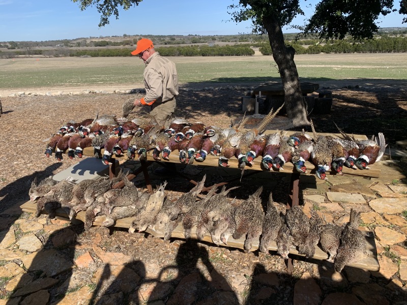 2020-02-21-Pheasant-Tower-Shoot-19-results.JPG